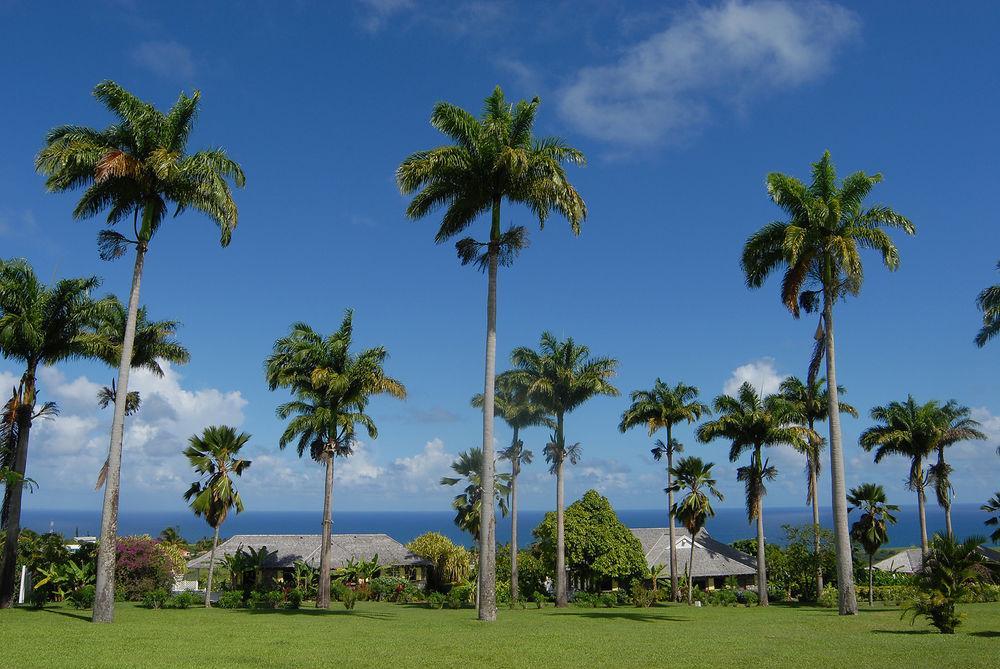 Ottleys Plantation Inn Cayon 外观 照片
